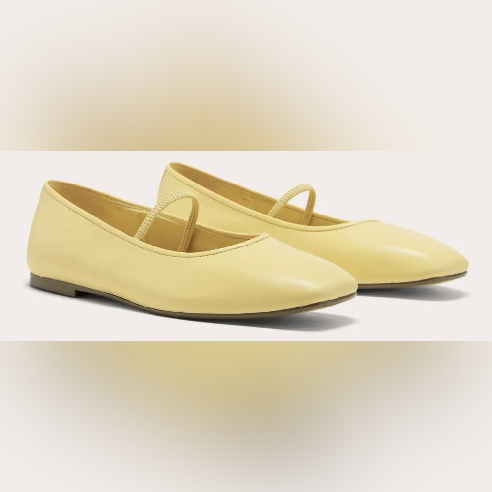 Everlane The Day Mary Jane